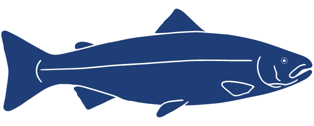 Detailed Fish Icons FINAL Salmon.png