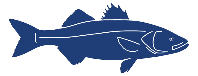 Detailed Fish Icons_FINAL Sea Bass.png