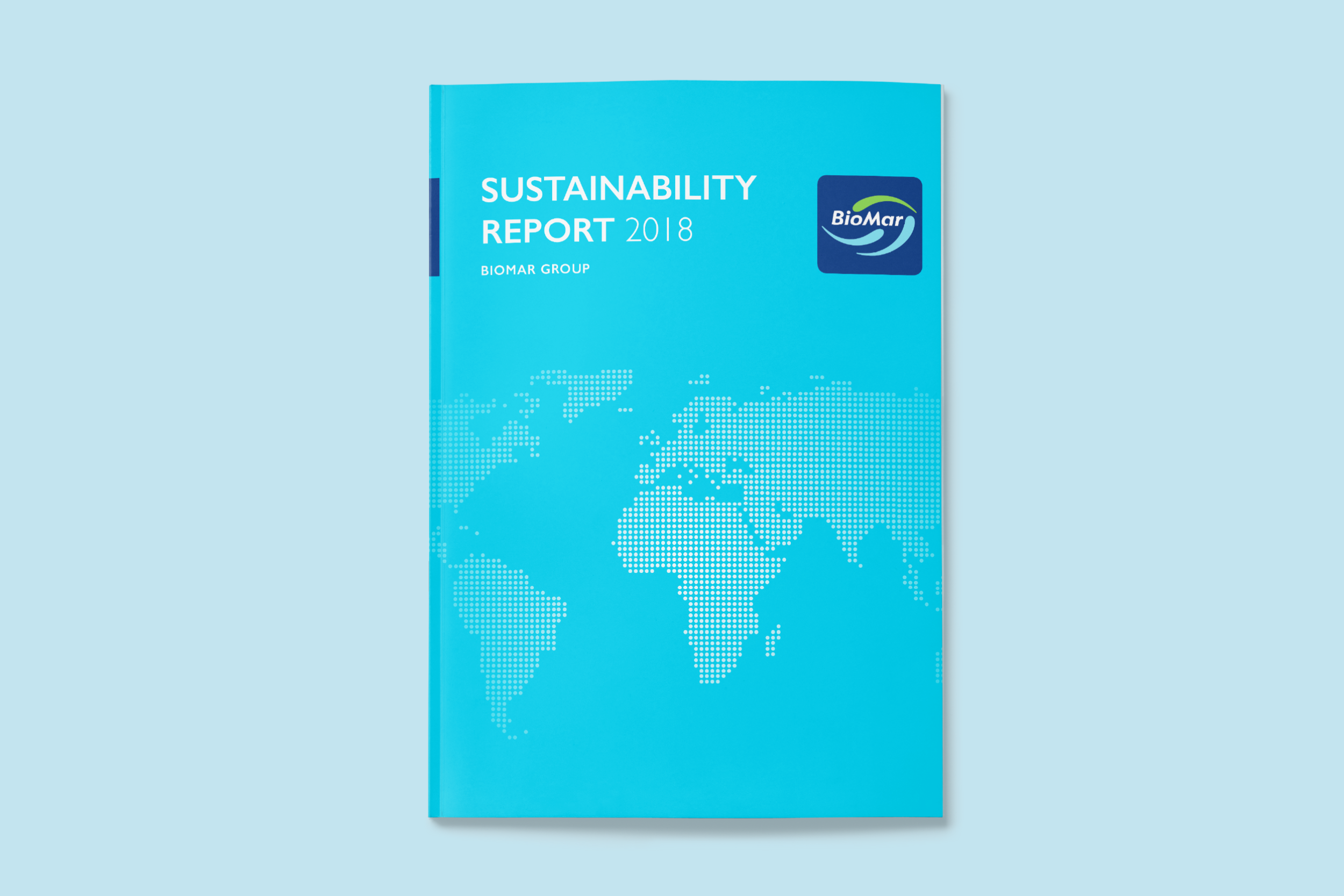 Cover image of 2018 Sustainability Report