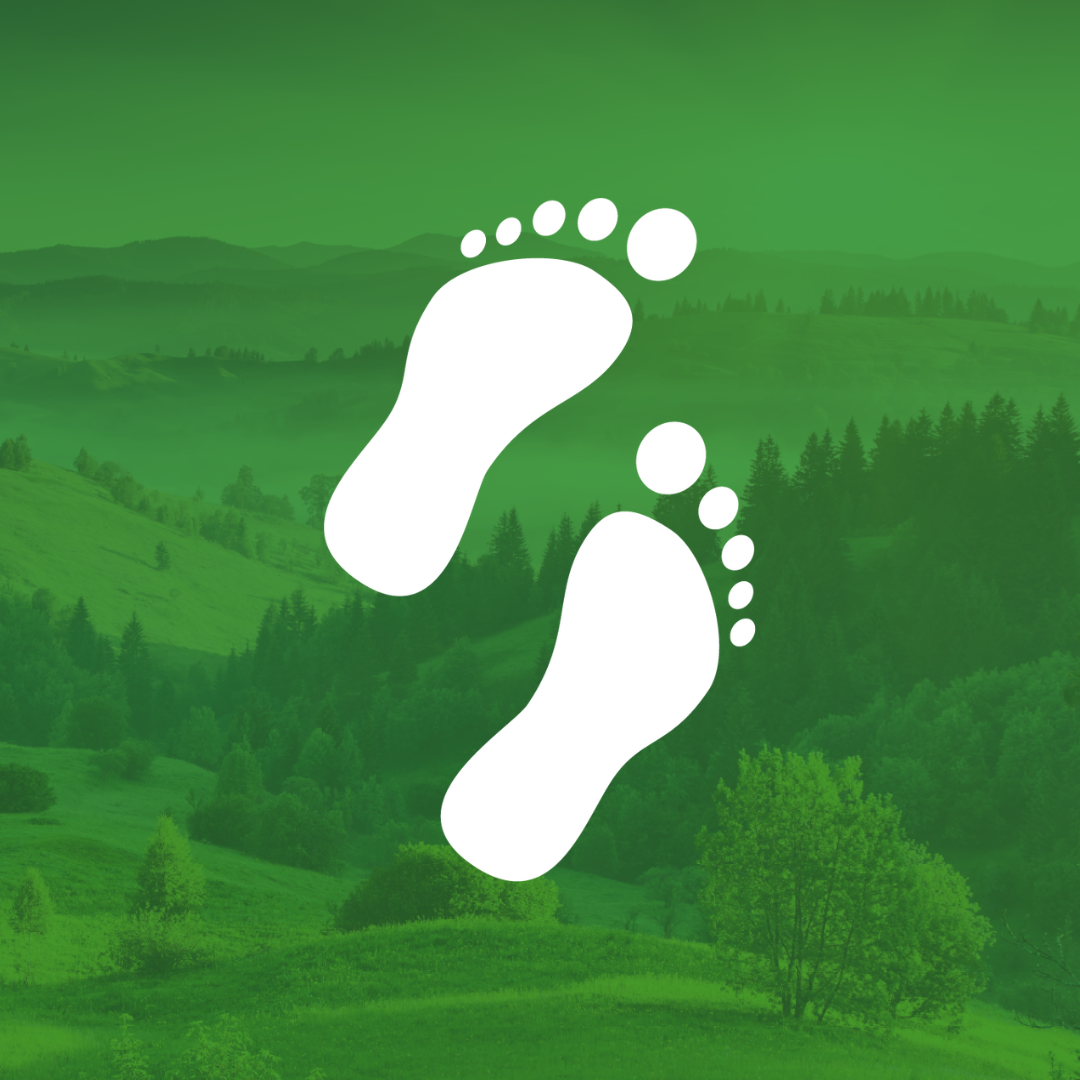 Engagements GSR2024 Climate Action