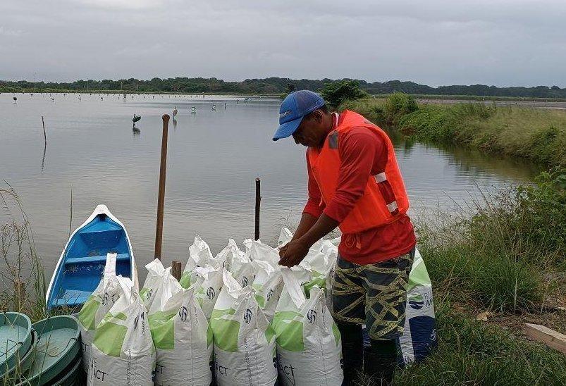 Auchan, BioMar and Earthworm Foundation join forces in a unique collaboration to launch new sustainable shrimp product