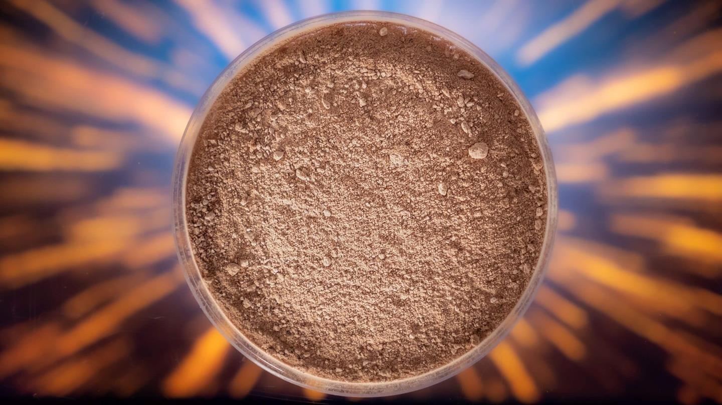 deep branch_p1012587_biomar