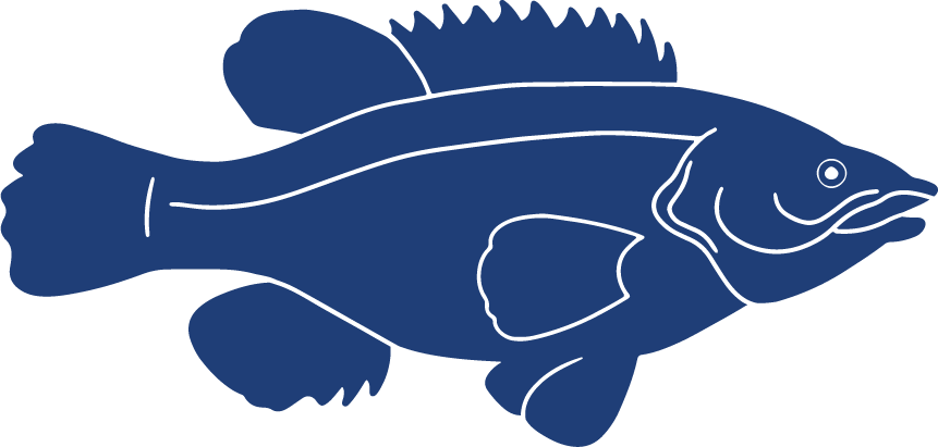 Detailed Fish Icons_FINAL Ballan Wrasse.png