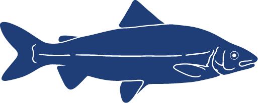 Detailed Fish Icons FINAL Whitefish.png