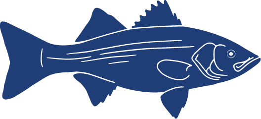 Detailed Fish Icons_FINAL Striped Bass.png
