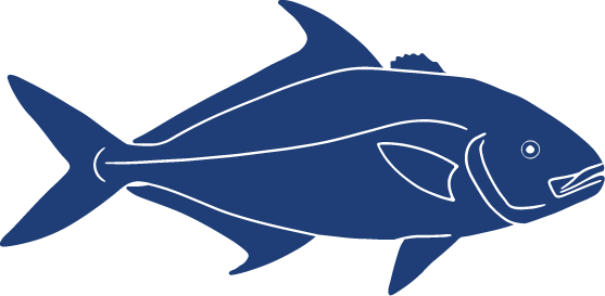 Detailed Fish Icons FINAL Longfin Yellowtail