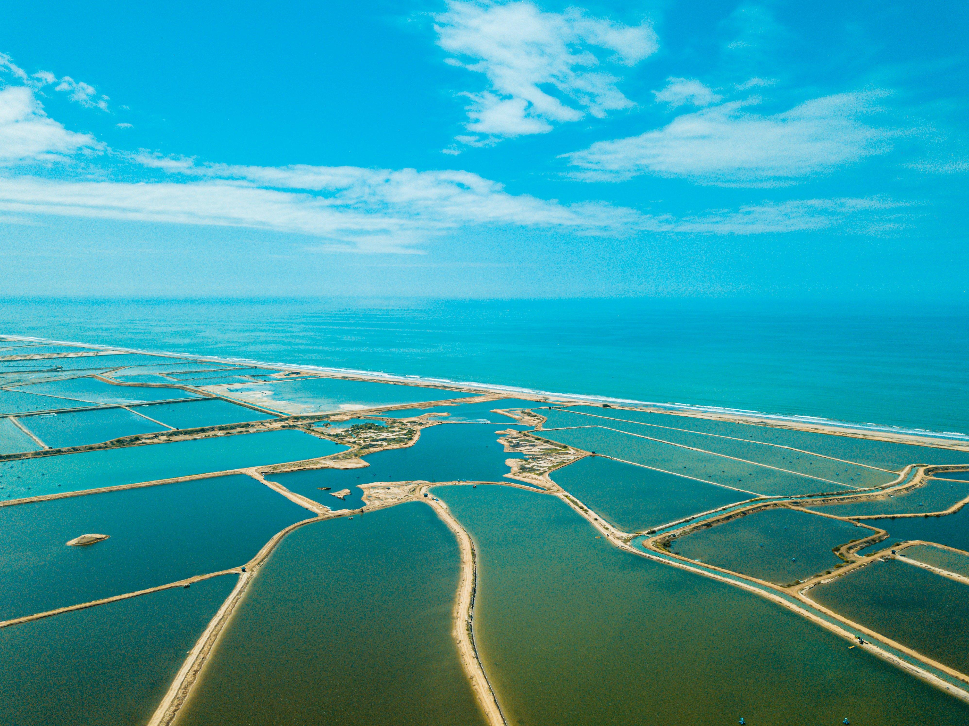 Farm-Ponds-Shrimp-Ecuador-Aerial-Drone-01