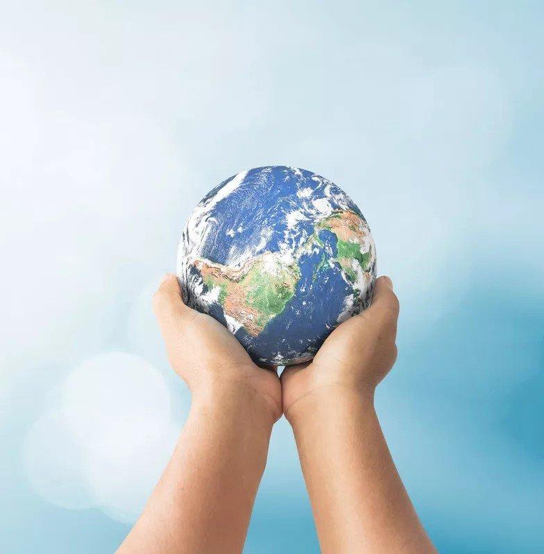 BioSustain-LCA-V.7-Insight