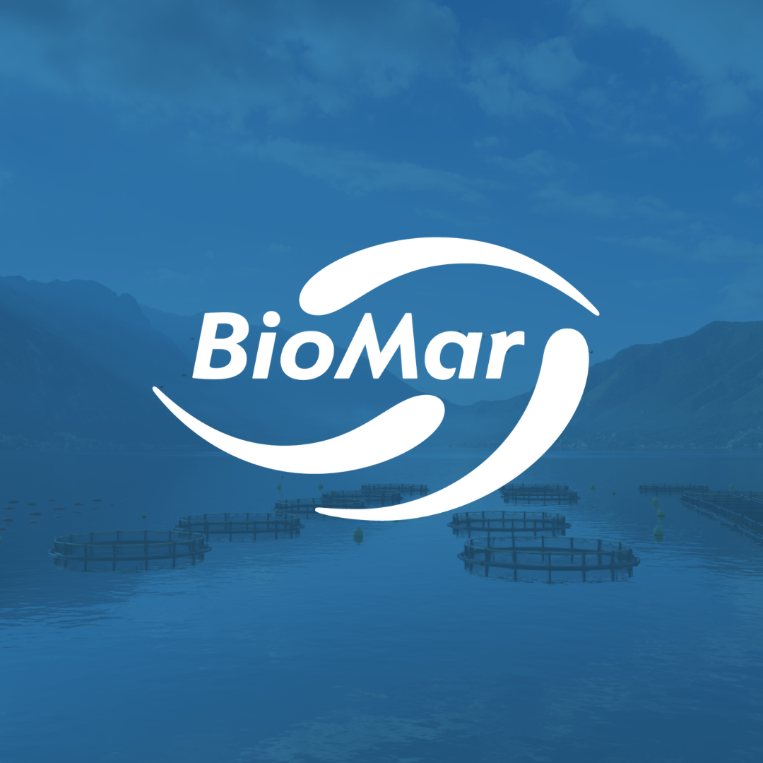 Engagements_GSR2024 (3).png