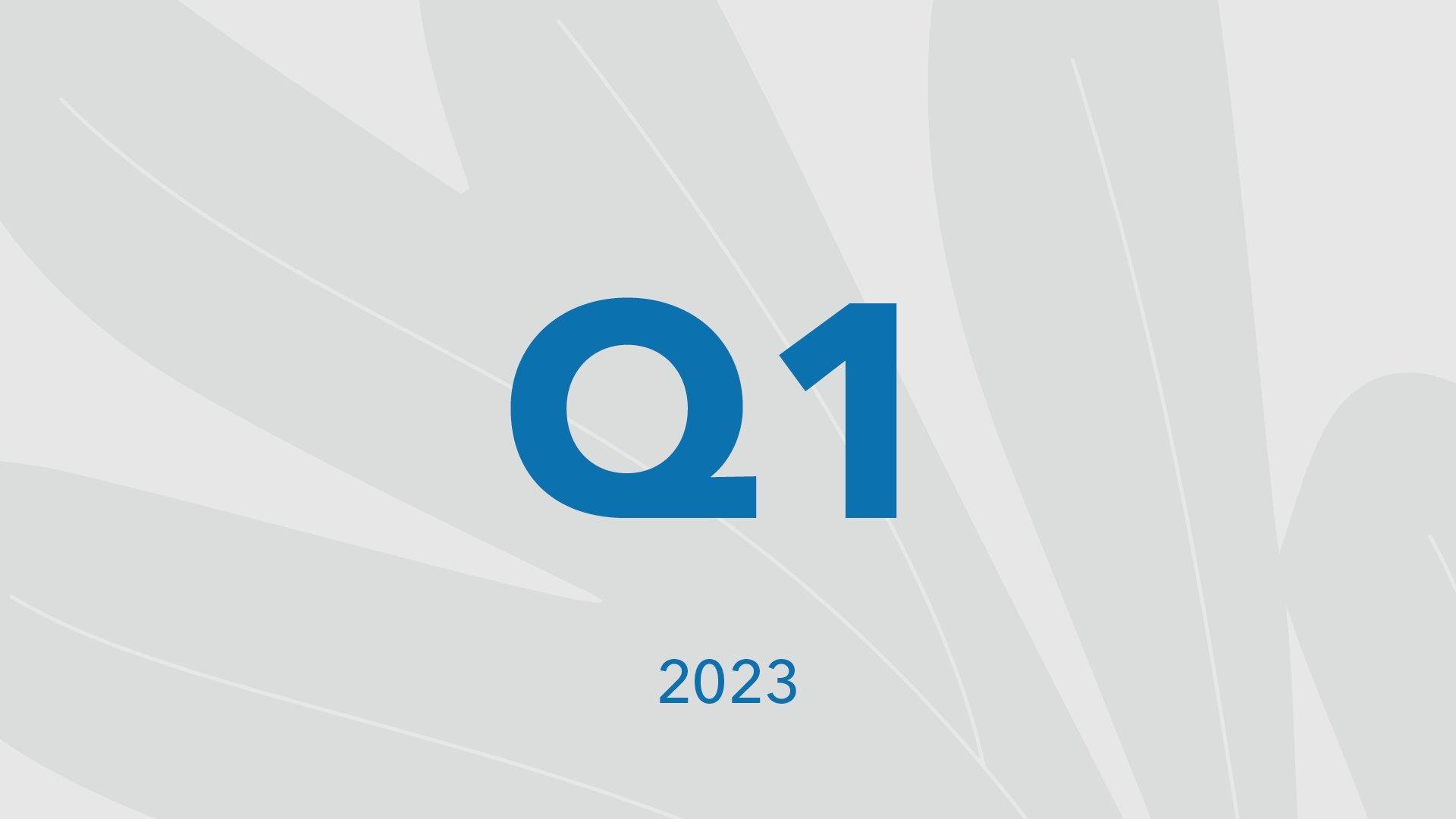 Q Report_2023 Q1