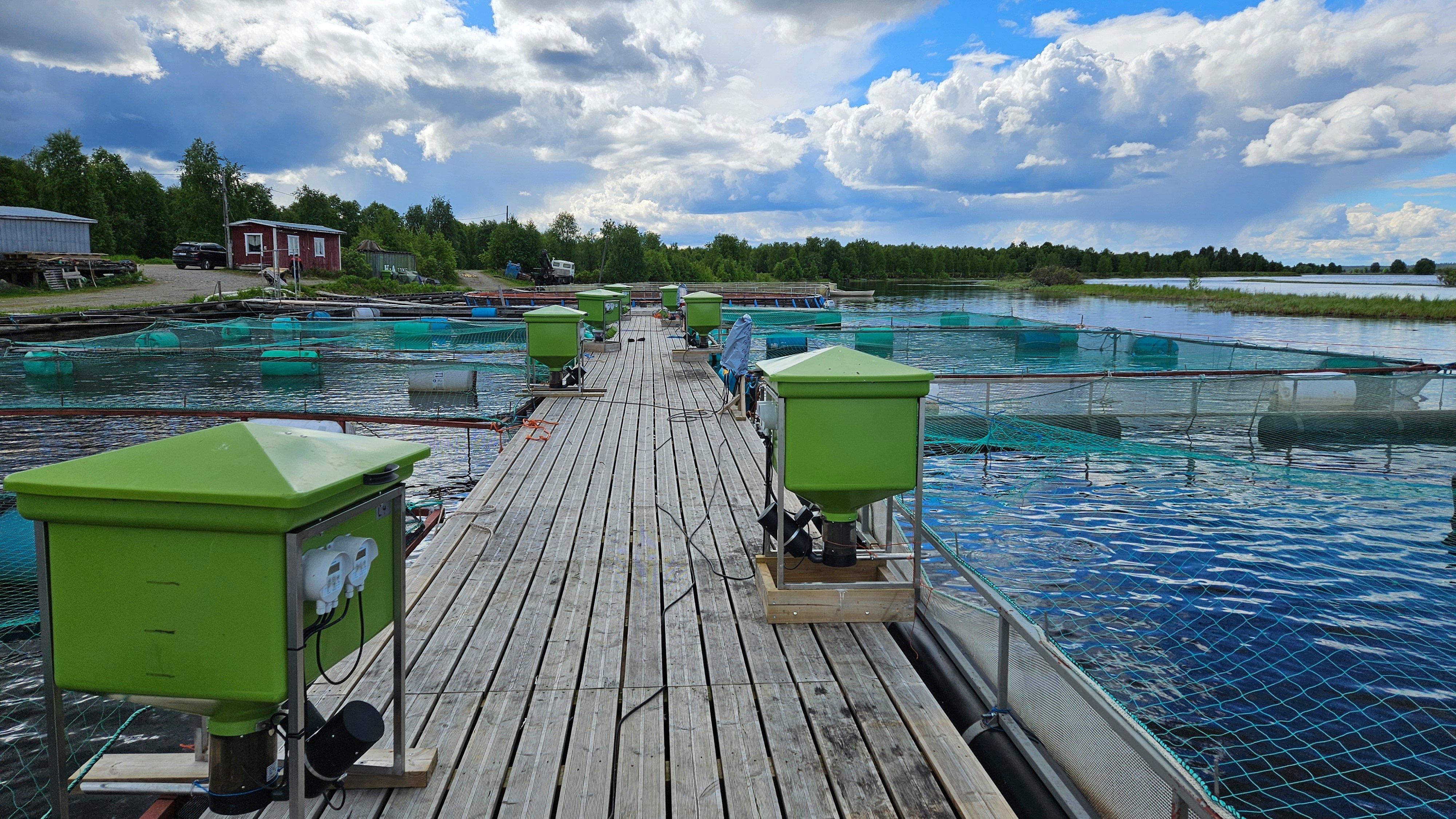 Koillis-Suomen Lohi 20240611_114034