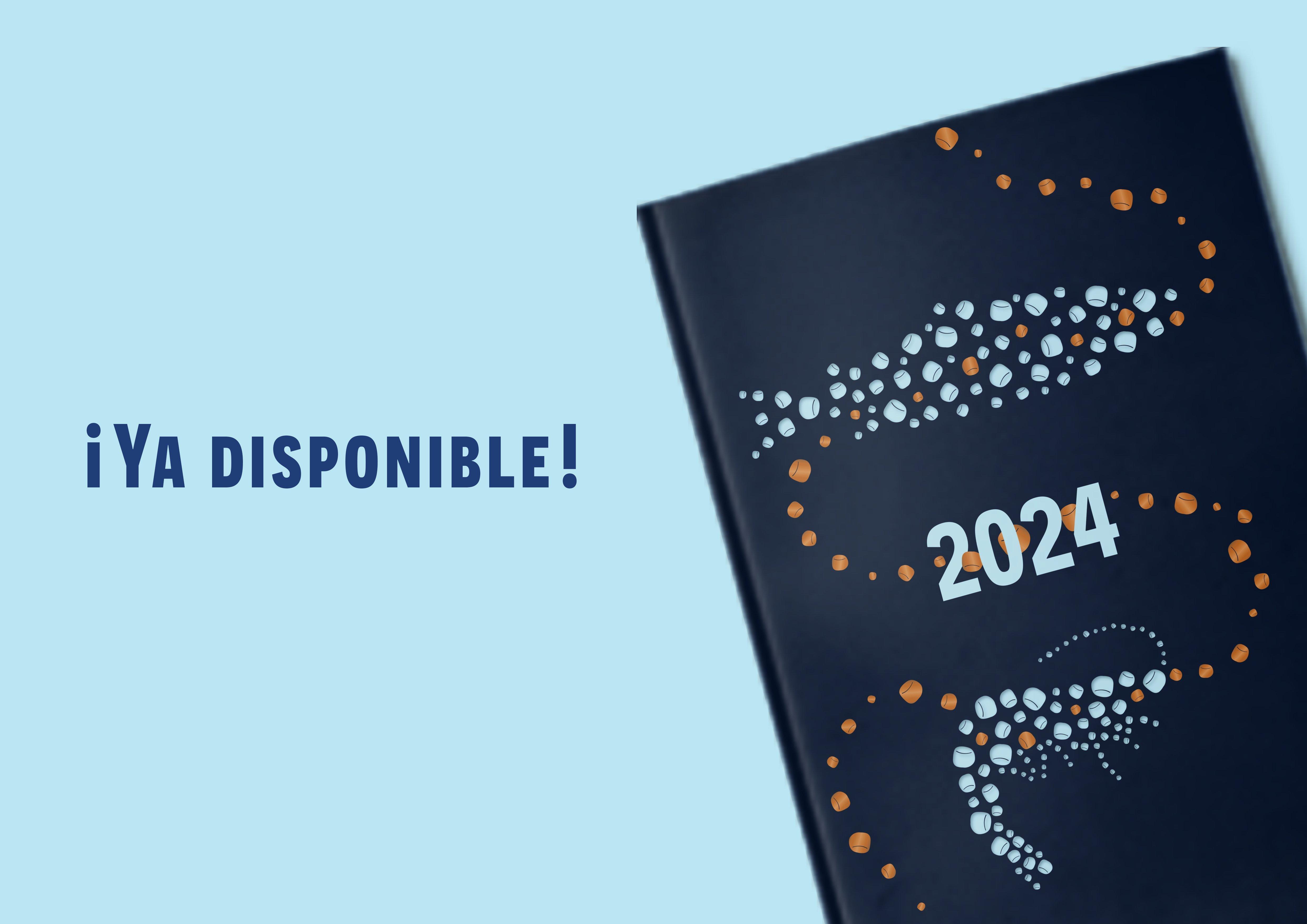 GSR-2024-Ya-disponible