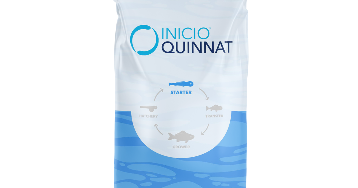 Quinnat