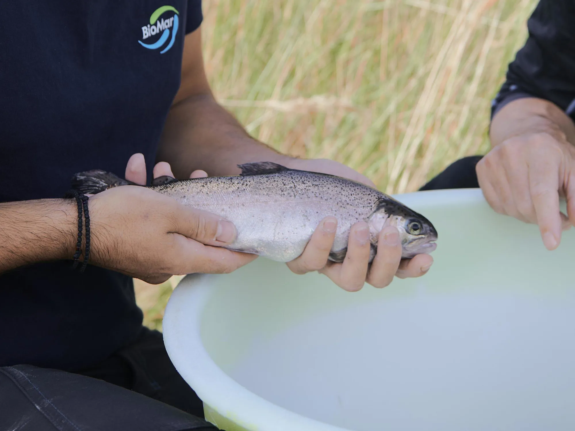 Image-People-Collaboration-Rainbow Trout-biomar_20200915_hirtshals_8282