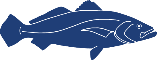 Detailed Fish Icons_FINAL Totoaba.png